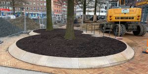 Neue Einfassungen der Bäume am Sand finden großen Gefallen