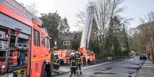 Harburg und Süderelbe: Feuerwehr beseitigt ganzen Tag Sturmschäden