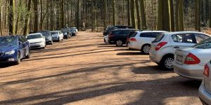 Instandsetzungs-Arbeiten: Sieben Waldparkplätze werden gesperrt