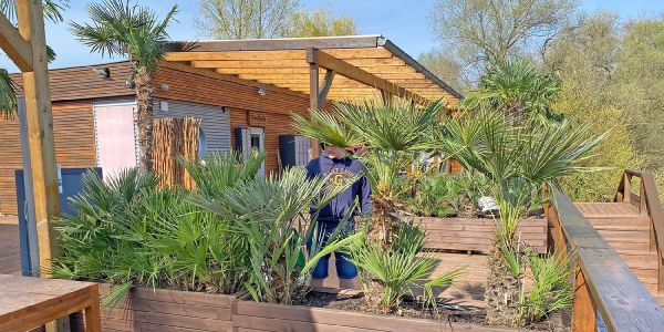 Wasserskianlage: Zumindest die Palmen und die Sonne sind schon da