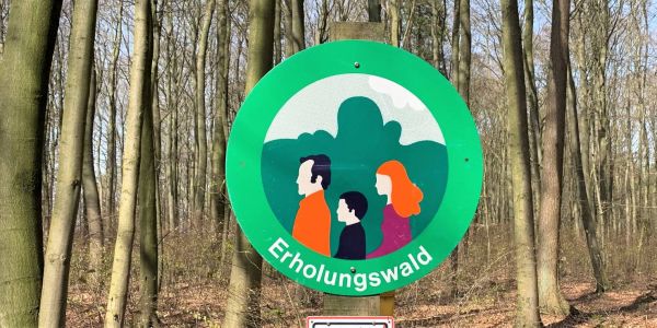 Vorsicht beim Oster-Spaziergang: Warnung vor erhöhter Waldbrandgefahr