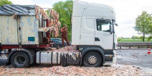 A1 bei Nenndorf: Fischreste ergossen sich auf die Autobahn