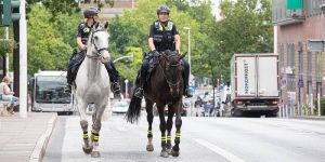 Hoch zu Ross auf Streife über den Harburger Ring