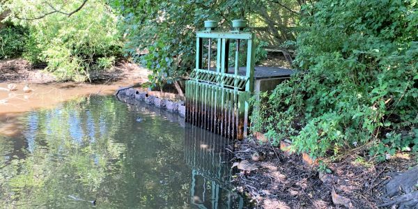 Vandalen öffnen Stauschütz: Kaum noch Wasser im Lohmühlenteich