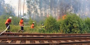 Waldbrand: Flammen sprangen von Baumwipfel zu Baumwipfel über