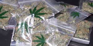 Drogenbekämpfung im Phoenix-Viertel: Dealer festgenommen