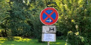 Ahorne mit Pilz befallen: Baumfällarbeiten im Göhlbachtal