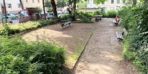 Mit Outdoor-Gym und Slackline: Spielplatz am Reeseberg wird erneuert