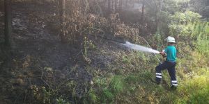 Stelle: Böschungsbrand an Bahnstrecke war schnell unter Kontrolle