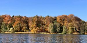 Herbstliches Farbenspiel: Oktober verabschiedete sich standesgemäß