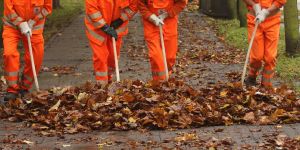 Herbstlaub: Wer muss Bürgersteig freihalten?