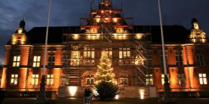 Auch ohne Weihnachtsmarkt: Vor dem Rathaus strahlt die Weihnachtstanne