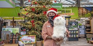 Großmoordamm: Steiff-Katze wird bei OBI für den guten Zweck versteigert