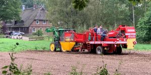 Die Kartoffelernte läuft jetzt auf Hochtouren – und das sogar in Harburg