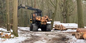 Schweres Gerät und gesperrte Waldwege: Forstarbeiten in Harburgs Wäldern