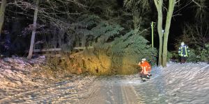 Feuerwehreinsätze wegen umgestürzter Bäume im Landkreis Harburg