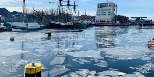 Seltenes Naturschauspiel: Eisschicht im Harburger Binnenhafen