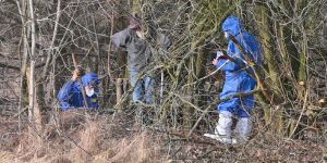 Knochenfund auf &quot;Lebenshof&quot; in Glüsingen - Veterinäramt eingeschaltet