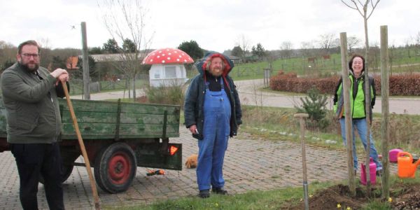 100 Jahre alte Sorte gepflanzt: Ingrid-Marie ist der Apfel des Jahres