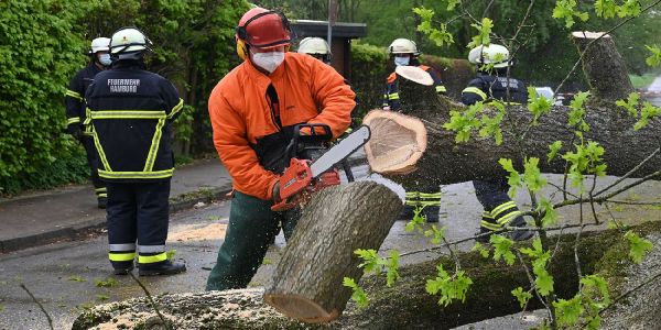 Gespaltene Eiche vor dem Feuerwehrhaus versaut der FF Marmstorf den Vatertag