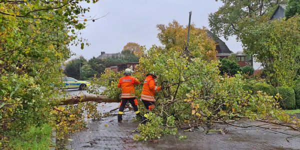 Tief "Ignatz": In Harburg Stadt und Land blieb das Sturmchaos aus