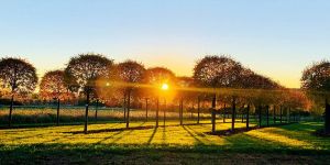 Goldener Herbst verwöhnt uns mit fantastischen Sonnenuntergängen