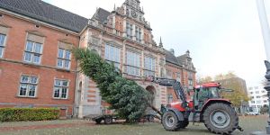 Grüner Riese als Zeichen der Hoffnung - Neun Meter hoher Tannenbaum auf Harburger Rathausplatz aufgestellt