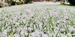Kurz vorm 1. Advent: In Harburg fiel der erste zarte Schnee vom Himmel 