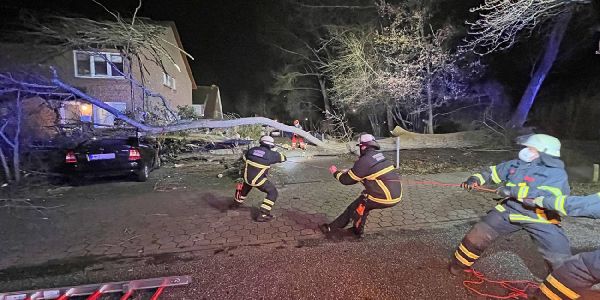 Baum auf Haus und Auto: Schaden durch Sturm im Bezirk Harburg