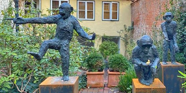 Nach Einbruch in Tötensen: Polizei fahndet nach drei Affen