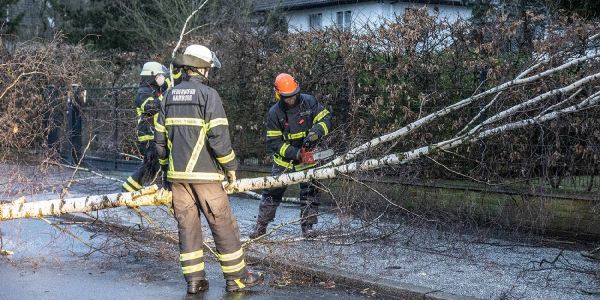 Sturmtief „Ylenia“ sorgt für viele Feuerwehreinsätze im Raum Harburg