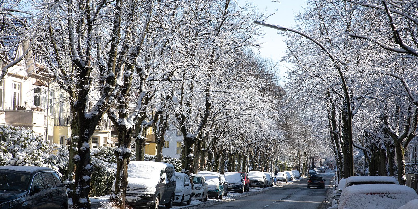 Weiße Bäume, geräumte Fahrbahn. Die Heimfelder Straße. Foto: zv