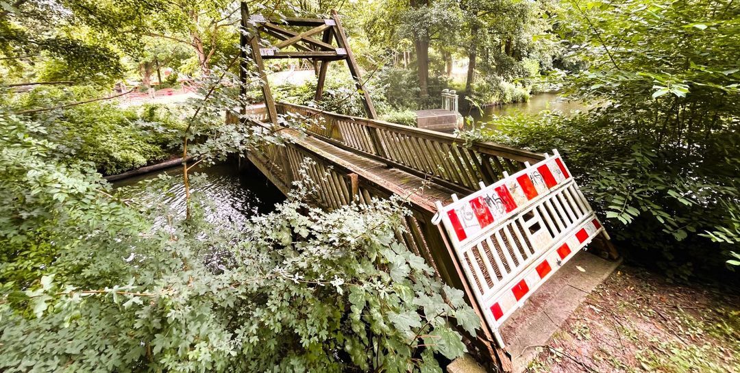 Ziemlich zugewuchert: Die gesperrte Holzbrücke wird durch einen Neubau ersetzt. Foto: Christian Bittcher 