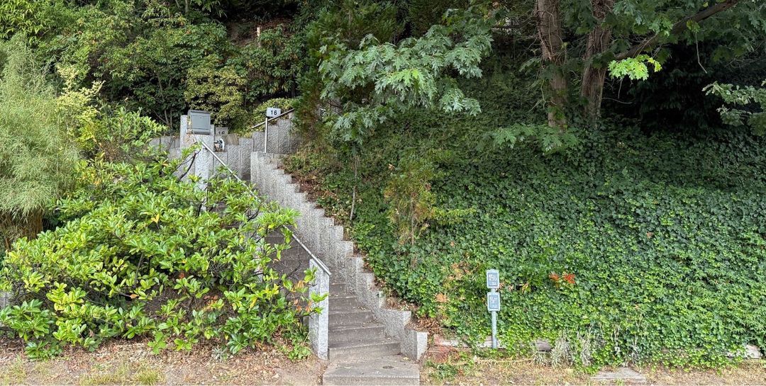 Der Zugang zu dem Haus erfolgt über eine steile Treppe auf einen Berg. Foto: Lenthe-Medien