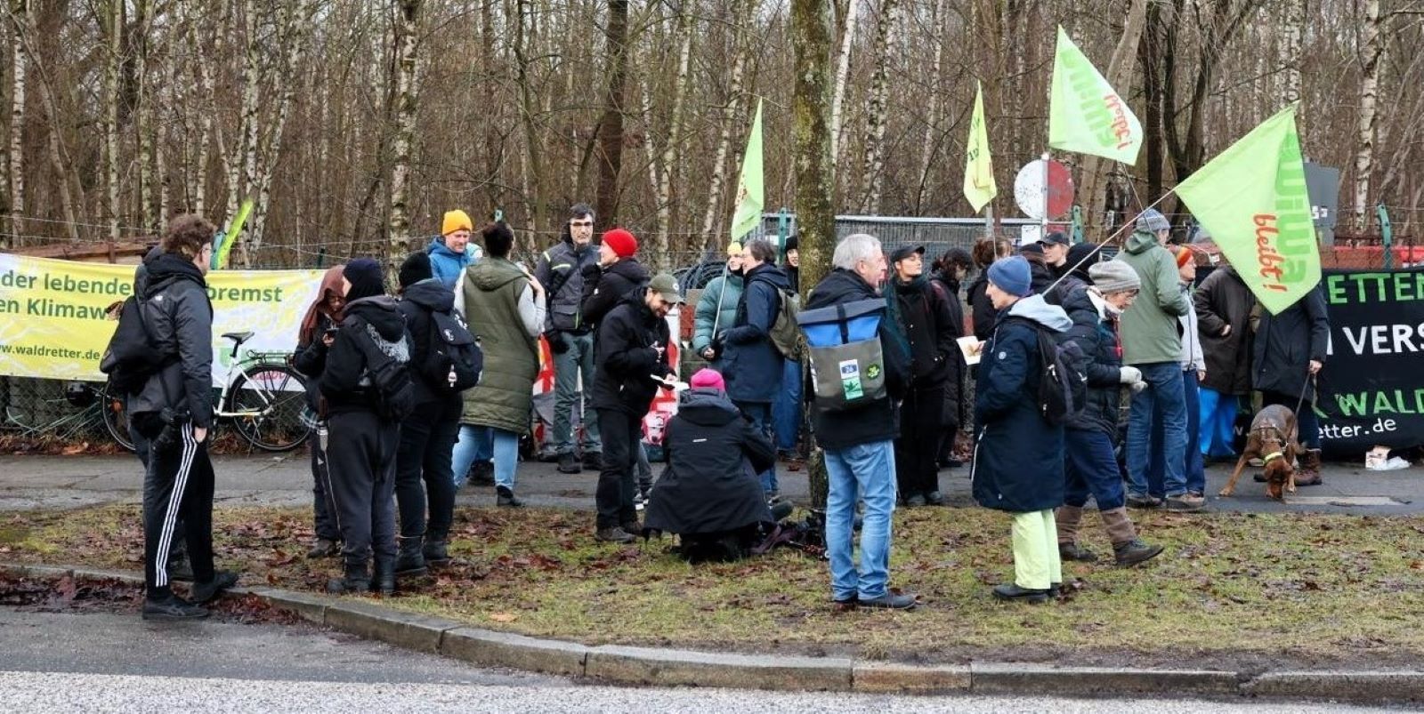 Proteste gegen mögliche Rodungen im „Wilden Wald“ in Wilhelmsburg