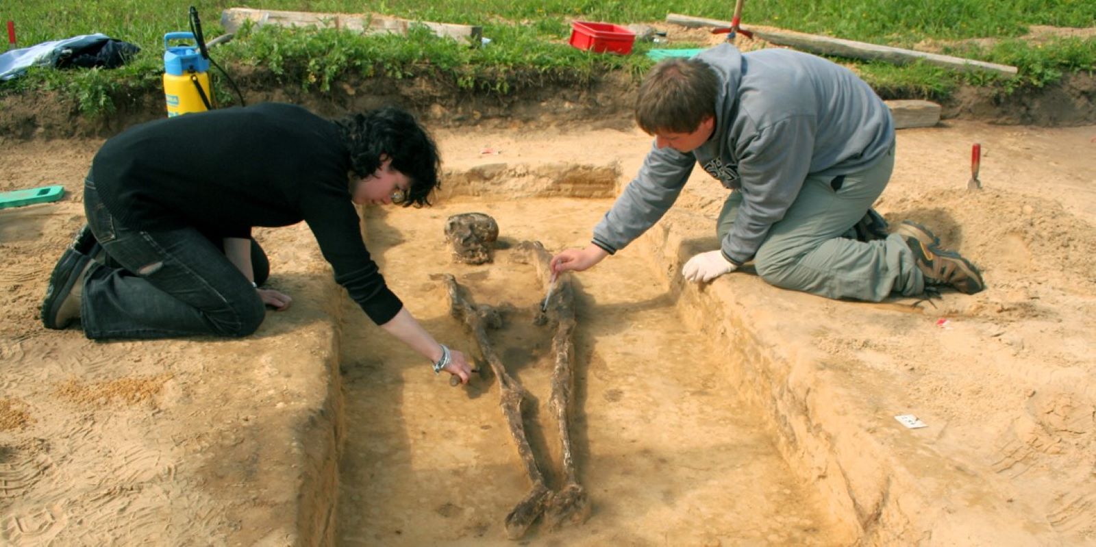 Das Team des Archäologischen Museums Hamburg legt auf dem Gräberfeld in Neu Wulmstorf-Elstorf ein Skelett frei.  Copyright: Archäologisches Museum Hamburg. Fotograf: Jochen Brandt.