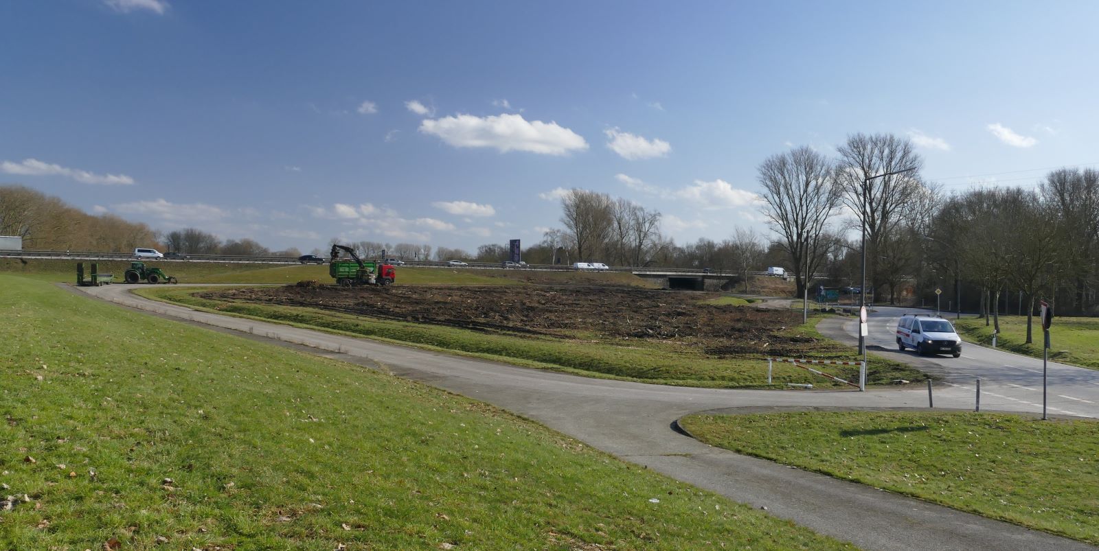 Kahlschlag in Neuland: Wildes Wäldchen am Elbdeich ist verschwunden