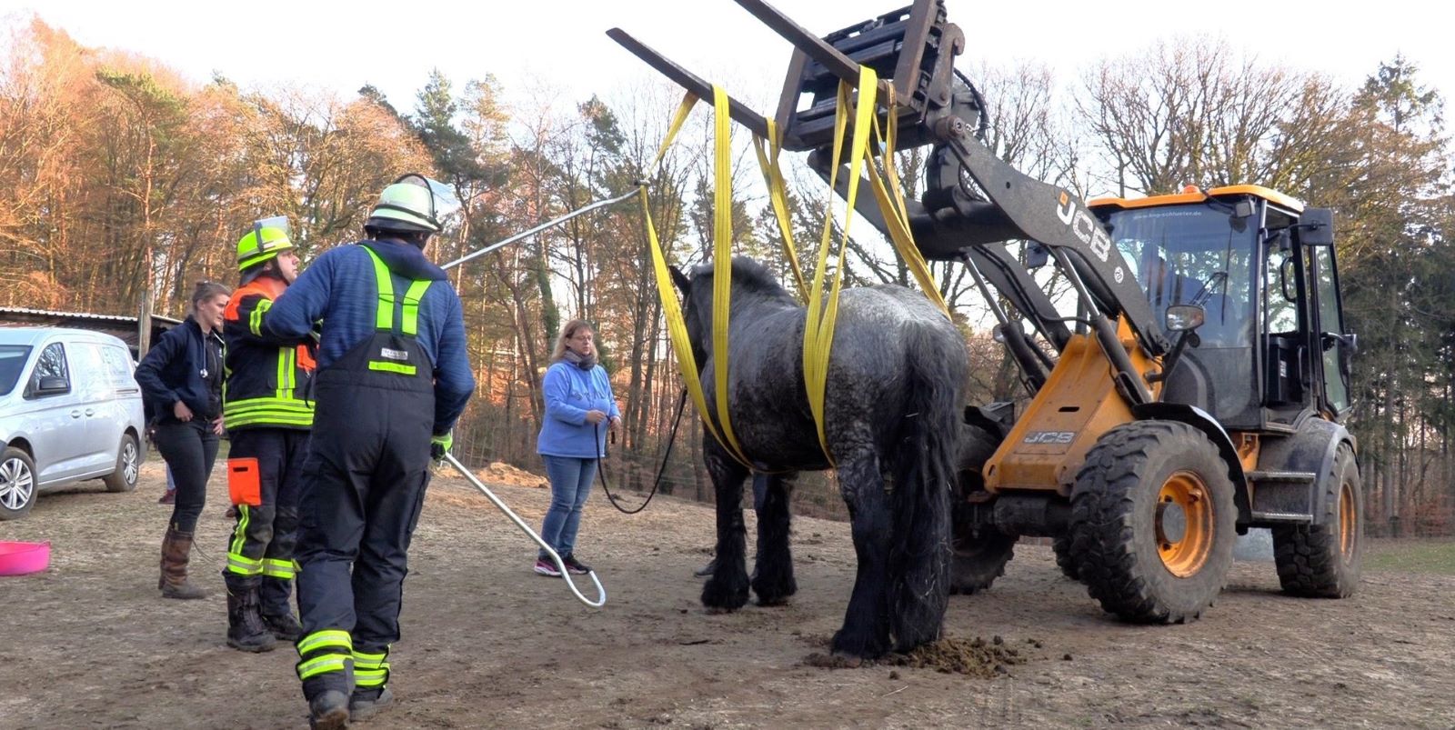 Das Pferd "Akiba" wurde in Helmstorf von Feuerwehrleuten aus Moor mithilfe von zwei Gurten und einem Radlader wieder auf die Beine gestellt. Foto: FW Moor