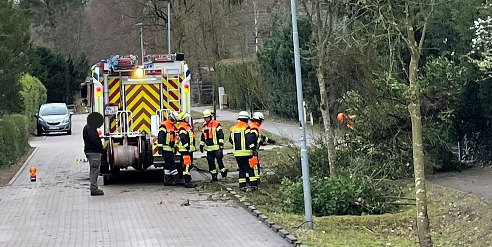 Wie hier in Maschen in der Straße „Alter Postweg“ waren in der Gemeinde Seevetal am Mittwoch die Feuerwehren unterwegs, um umgestürzte Bäume zu beseitigen. Foto: FF Maschen