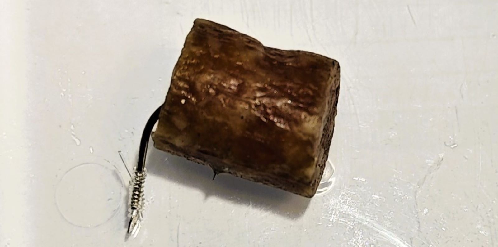 Wurststücke mit Angelhaken ausgelegt: Polizei bittet Hundehalter um Vorsicht