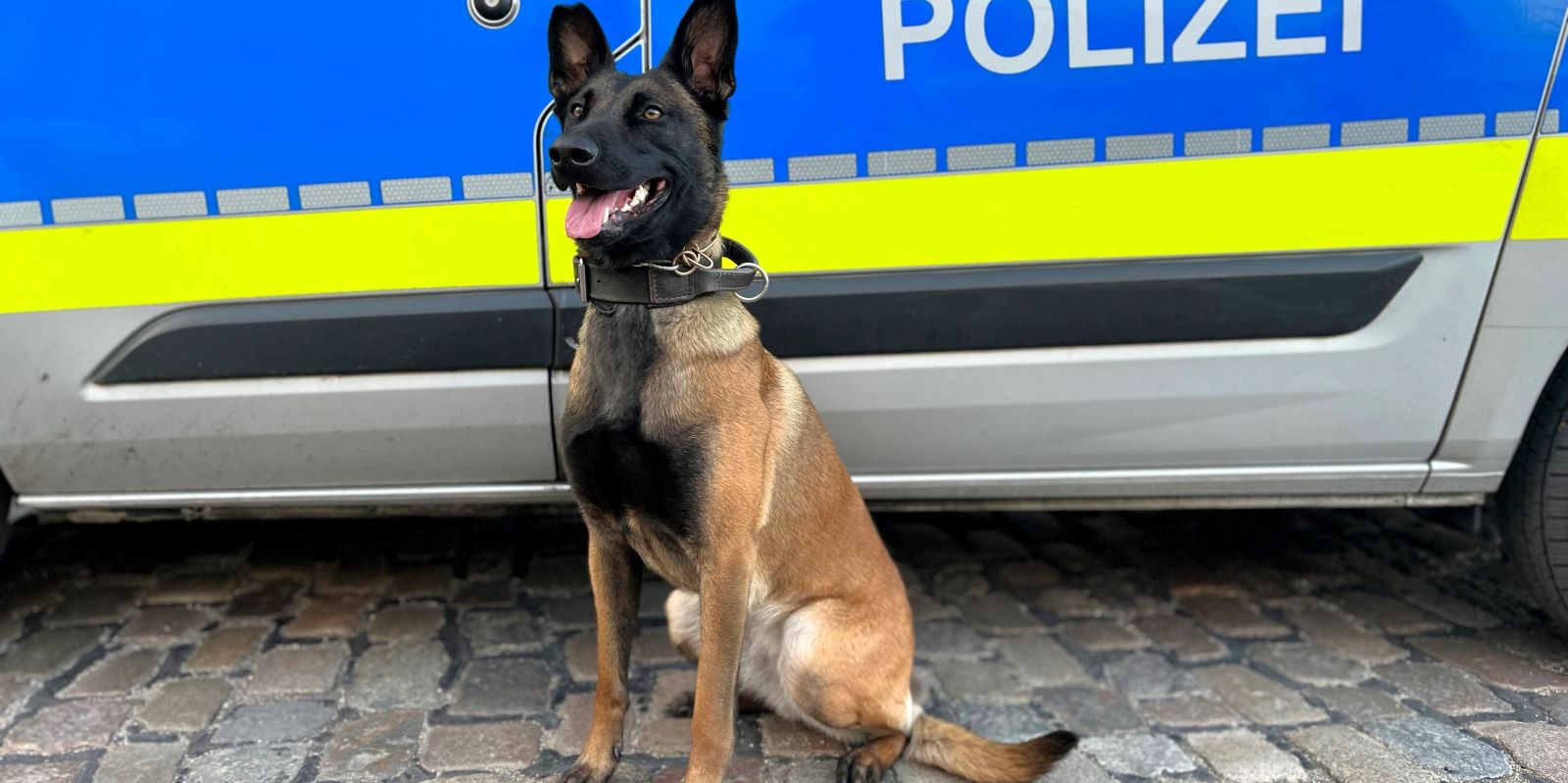 Diensthündin Hilde half mit. Foto: Polizei