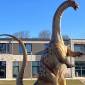 Neuer Dinosaurier vor dem Rathaus: Ein „Apatosaurus“ erfreut die Besucher