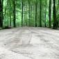 Arbeiten an Wegen und Parkplätzen: Einschränkungen in den Erholungswäldern