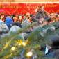 „Harburg singt“ auf Weihnachtsmarkt: Echter Weihnachtszauber am 4. Advent