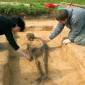 Volltreffer für die Forschung: Neues Forschungsprojekt zu mittelalterlichem Gräberfeld