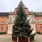 Harburgs Weihnachtstanne ist da: In wenigen Tagen beginnt der Weihnachtsmarkt