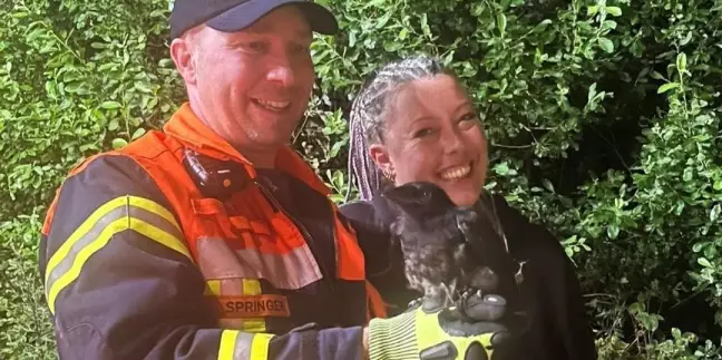 Ein Maschener Feuerwehrmann hat die Jungkrähe gerettet und übergibt sie der überglücklichen Besitzerin zurück. Foto: Sina Klask, FF Maschen