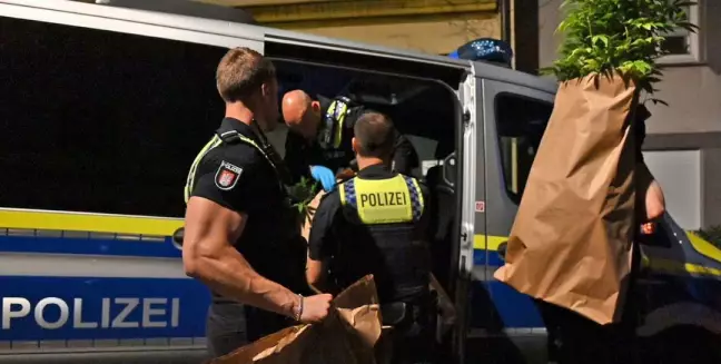 Polizisten laden zahlreiche Tüten mit Pflanzen und Aufzugsanlage in mehrere Streifenwagen. Foto: Lenthe-Medien