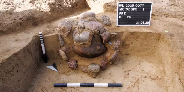 Diese Urne wurde zusätzlich mit einer darüber gestülpten großen Schale abgedeckt. Foto: Archäologisches Museum Hamburg / BU  