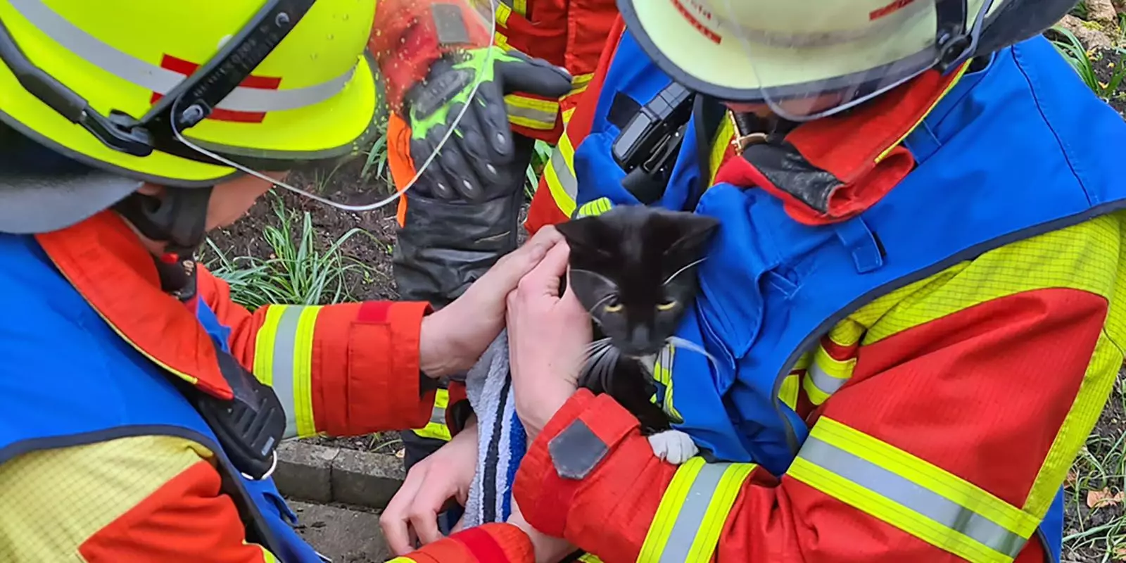 Einsatzkräfte mit der geretteten Katze. Foto: Feuerwehr